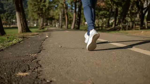 8 Manfaat Jalan Kaki di Pagi Hari, Investasi Kesehatan Jantung, Mental, dan Kontrol Berat ...