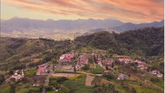 Teh Gambir, Minuman Herbal Berkhasiat dari Sumatera Utara