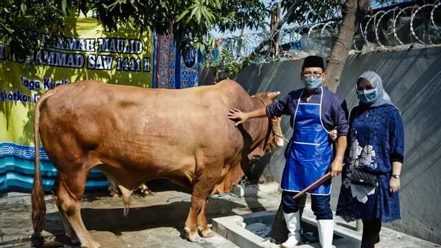 Peternak Kambing Sukses Kembangkan Usaha Berkat Pemberdayaan BRI