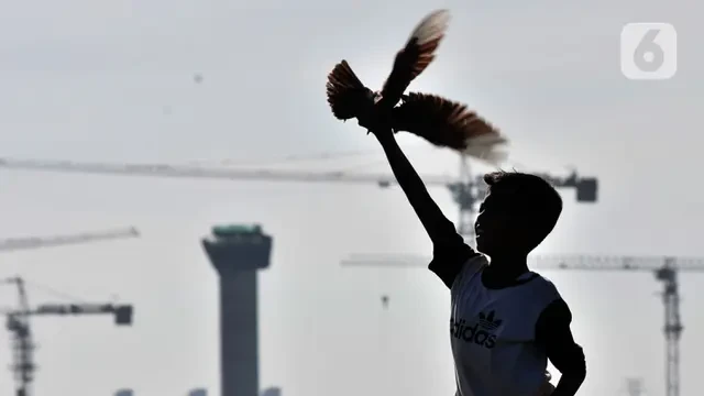 'Donat' Bisa Selamatkan Burung Terluka Akibat Cuaca Buruk hingga Predator