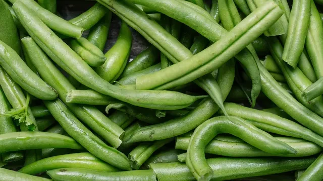 Studi Ungkap Makan Kacang atau Buncis Tiap Hari Bantu Menurunkan Kadar Kolesterol