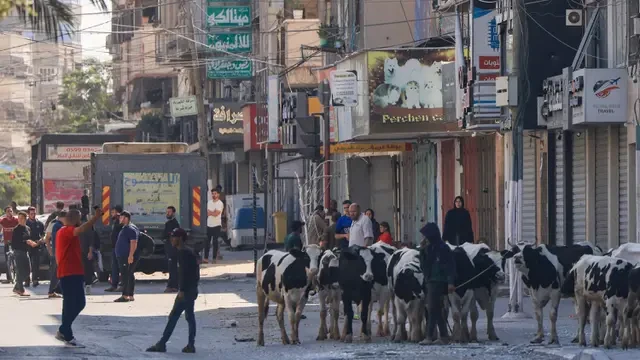 Anak-anak di Gaza Kehabisan Makanan, Perang Israel-Hamas Makin Memanas
