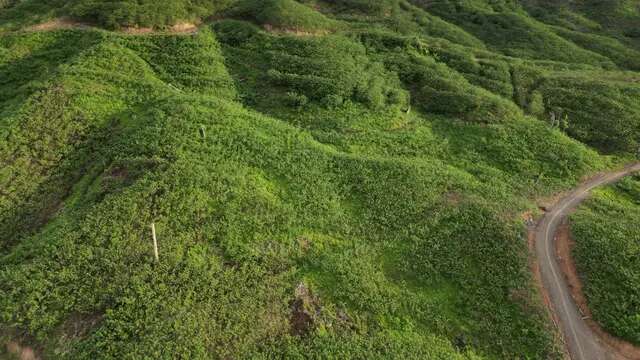 Hak Jawab PT BTL dan IGL soal Sengketa Lahan dan Kerusakan Hutan Gorontalo