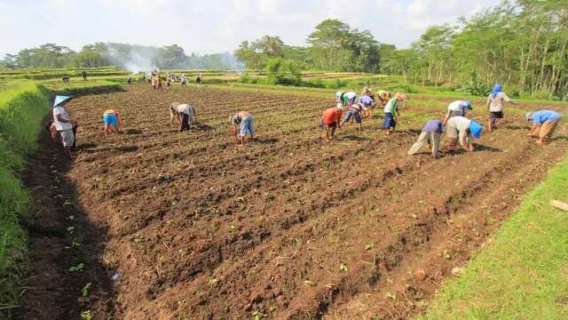 Petani Tembakau Titip 5 PR Ini ke Presiden Prabowo