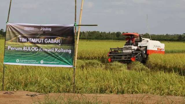 Dinas TPHP Kalteng Apresiasi Kinerja Tim Jemput Gabah