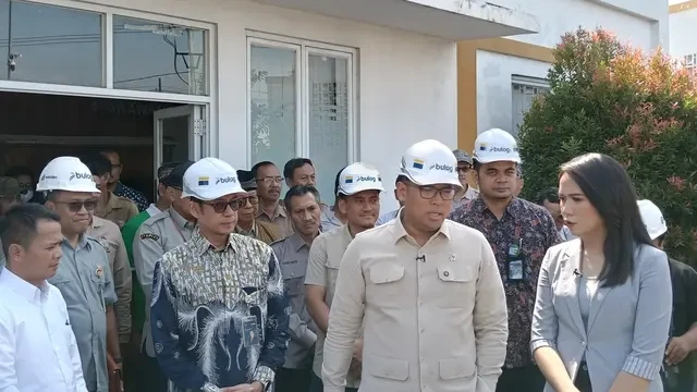 Cadangan Surplus, Wamentan Buka Peluang Sumbang Beras ke Palestina