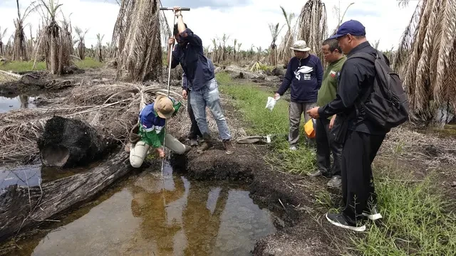 KLH Menang Gugatan Kebakaran Lahan, Perusahaan Sawit di Kalimantan Harus Bayar Ganti Rugi ...