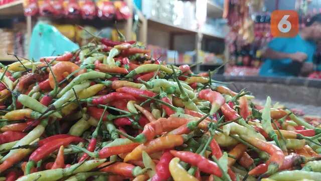 Langkah Pemkot Gorontalo Hadapi Lonjakan Harga Cabai Rawit Jelang Ramadan