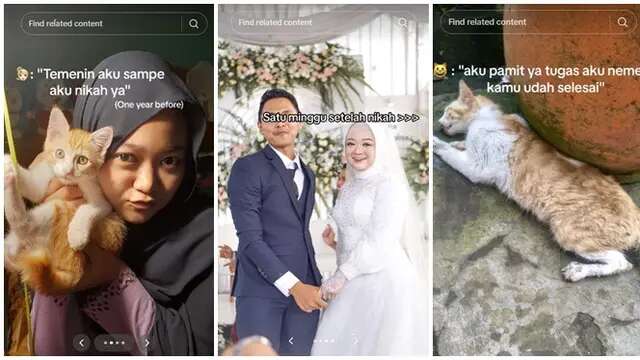 Ucapan adalah Doa, Wanita Ini Ditinggal Kucingnya Meninggal Seminggu Usai Menikah