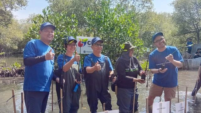 Mangrove Project Untuk Satu Bumi, Upaya Selamatkan Ekosistem Pesisir di 10 Area