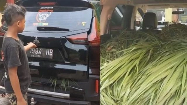 Setelah Pajero Sport, Kini Mitsubishi Xpander Cross yang Dipakai Buat Angkut Rumput