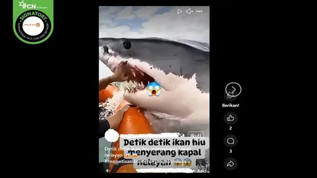 Cek Fakta: Tidak Benar dalam Video Ini Seekor Hiu Serang Kapal Nelayan