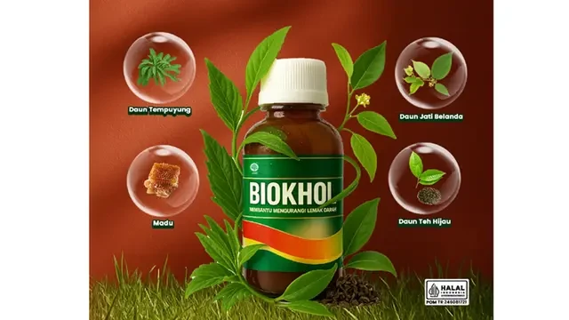 Apa Itu Biokhol? Suplemen Herbal untuk Menurunkan Kolesterol Secara Alami