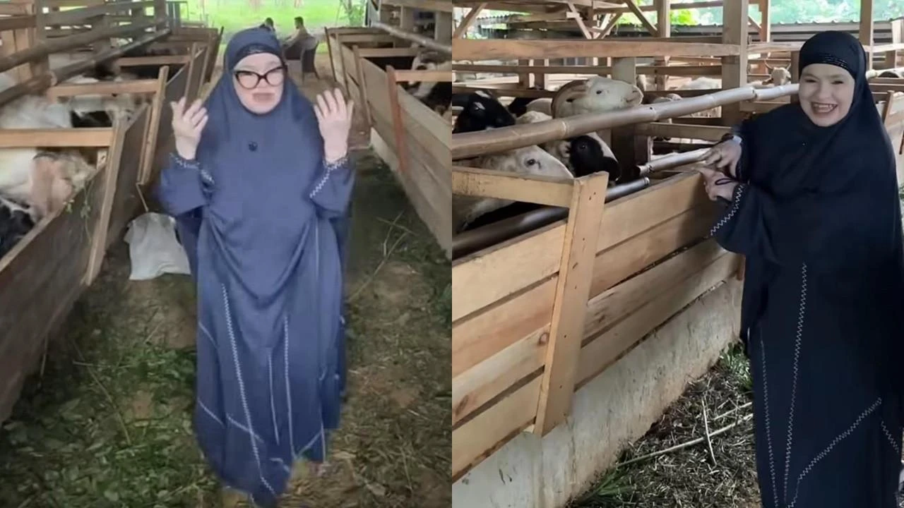7 Potret Kandang Kambing Ibunda Fadil Jaidi, Sederhana dengan Konsep Ternak Kurban