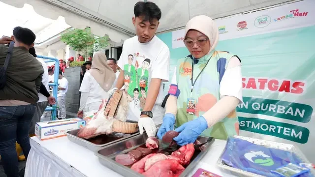 Kota Bandung Lepas 334 Petugas Satgas Kurban, Ada Tim Antermortem dan Postmortem