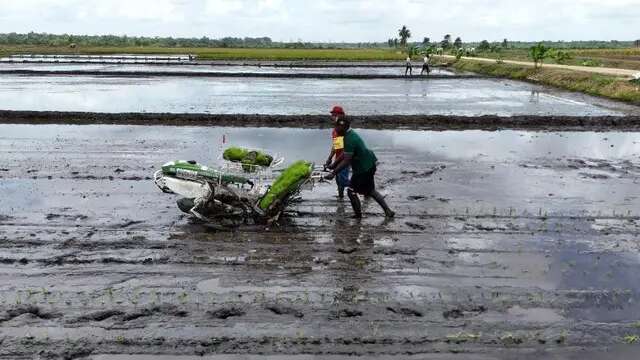 Program Makan Bergizi Gratis di Tengah Tantangan Krisis Pangan, Kementan Bakal Optimalkan ...