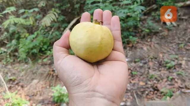 Pilih Makanan Lokal yang Murah dan Alami, Cara Rayakan Hari Pangan Sedunia 16 Oktober