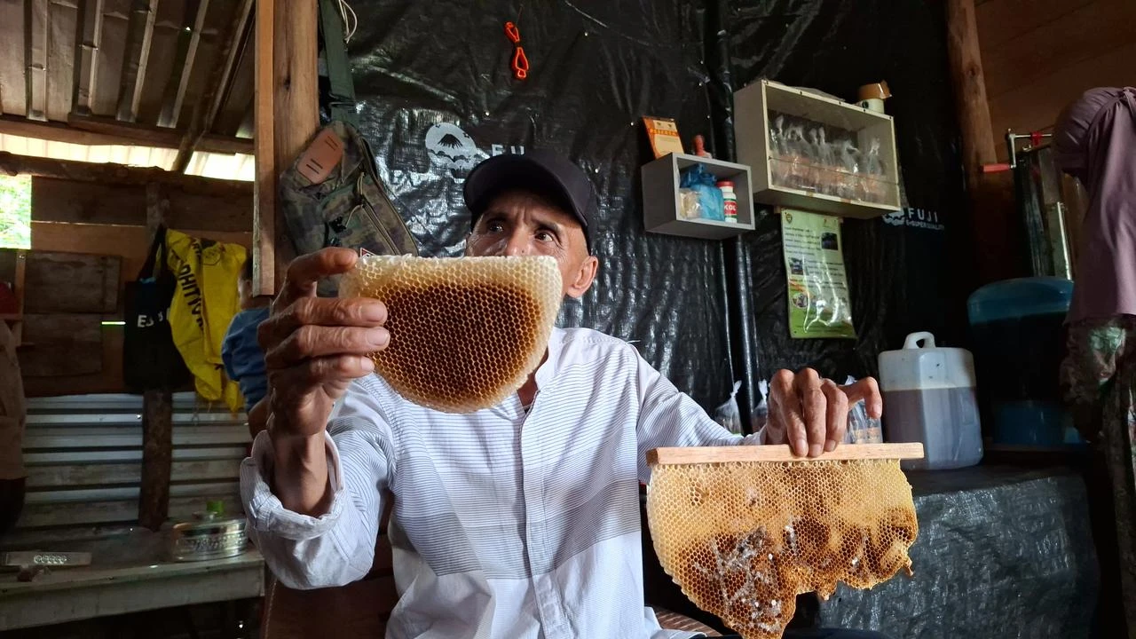 Jejak Migas Menyuburkan Ekonomi: Budidaya Madu dan Harapan Baru