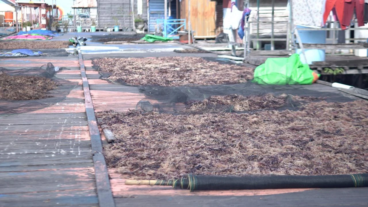 Bontang Prioritaskan Investasi Hilirisasi Pengalengan Ikan dan Rumput Laut