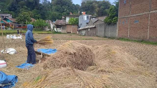 Kementan Minta Petani Muda Kreatif Cari Sumber Permodalan Alternatif