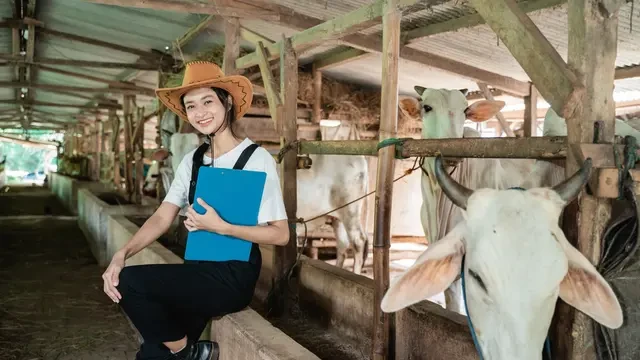 Ini Tips Memilih Hewan Kurban yang Sehat dari Dosen UGM
