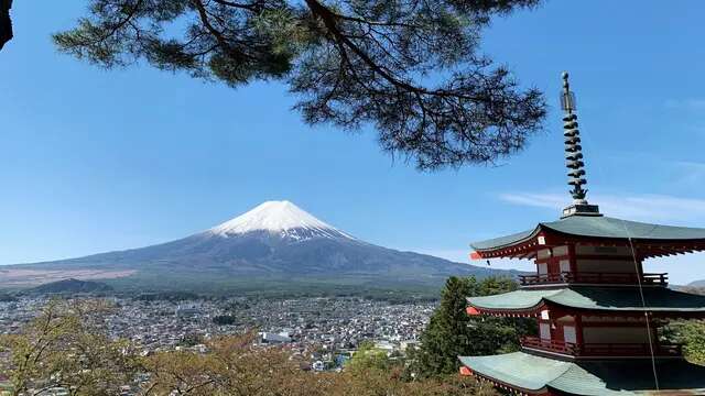 Tradisi Lebaran di Jepang: Perayaan Sederhana di Tanah Sakura