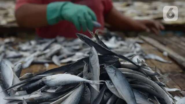 Makan Ikan Asin Bisa Tingkatkan Risiko Kanker, Ini Saran Bagi Penyuka Makanan Ini