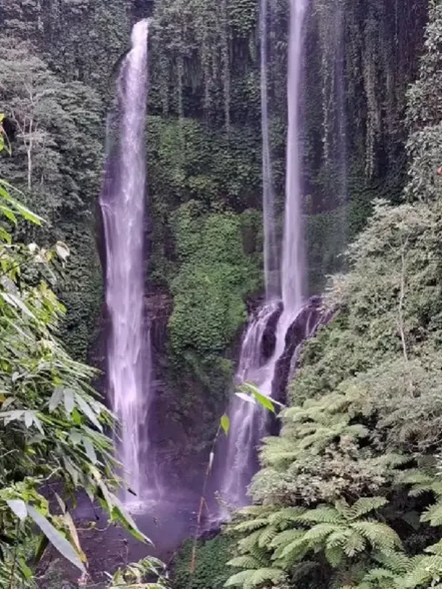 Pesona Air Terjun Sekumpul Bali, Surga Tersembunyi di Utara Pulau Dewata