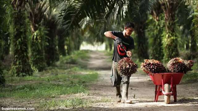 Anak Kurang Mampu di Wilayah Perkebunan Sawit Dapat Beasiswa