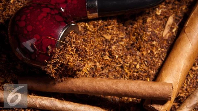 Tolak Revisi PP Terkait Tembakau, Produsen Rokok Surati Jokowi