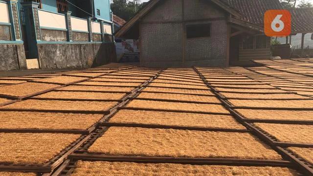 Merokok Bikin Beban Ekonomi Sistem Kesehatan Indonesia Capai Rp27 Triliun