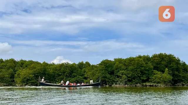 Harta Karun Warga di Langkat Sumut dari Merawat Hutan Mangrove, Bisa Produksi Gula Nipah h...