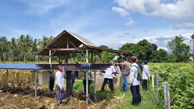 Terobosan Pertanian Banyuwangi: Pompa Air Tenaga Surya untuk Masa Depan Hijau