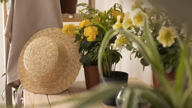 10 Tips Menata Bunga di Ruangan Agar Estetik, Rumah Jadi Lebih Indah