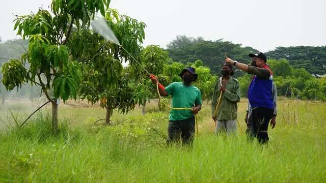 Lewat Taman Kehati, Pertamina Balongan Jaga Bumi Sekaligus Bantu Warga