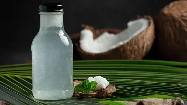 4 Manfaat Hebat Air Kelapa, Mulai dari Tingkatkan Imunitas hingga Cegah Dehidrasi Saat Dia...