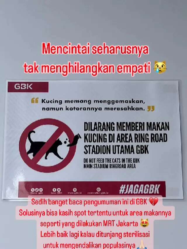 Muncul Tanda Dilarang Memberikan Makan Kucing Liar, Pengelola GBK Dianggap Tak Punya Empat...