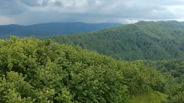 Pesona Menggala Ranch, Destinasi Indah ala Swiss di Banyumas