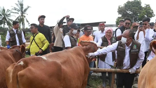 Surplus Hewan Kurban, Banyuwangi Pasok untuk Berbagai Daerah