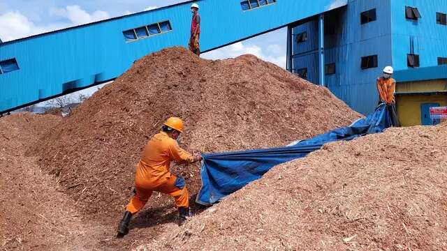 Pengembangan Ekosistem Biomassa di Tasikmalaya Berpotensi Hasilkan Rp 30 Miliar