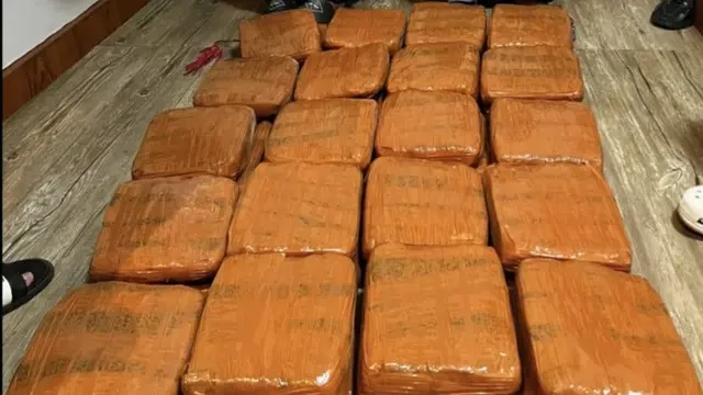Polisi Gagalkan Peredaran Narkoba di Lampung: 40 Kg Ganja Disita, 1 Kurir Diciduk