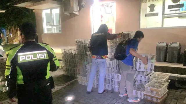 Aksi Penyelundupan 4.095 Burung Ilegal di Lampung Terbongkar, 2 Orang Ditangkap