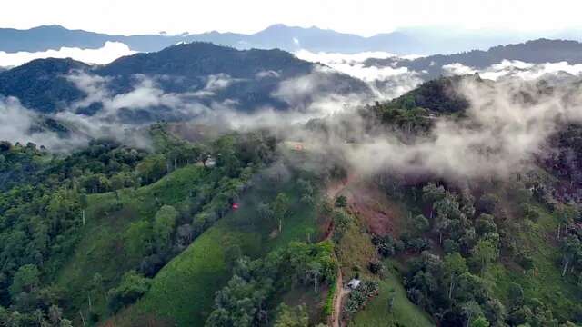 Jelajahi Pesona Kabut dan Kemilau Danau Limboto dari Bukit Arang