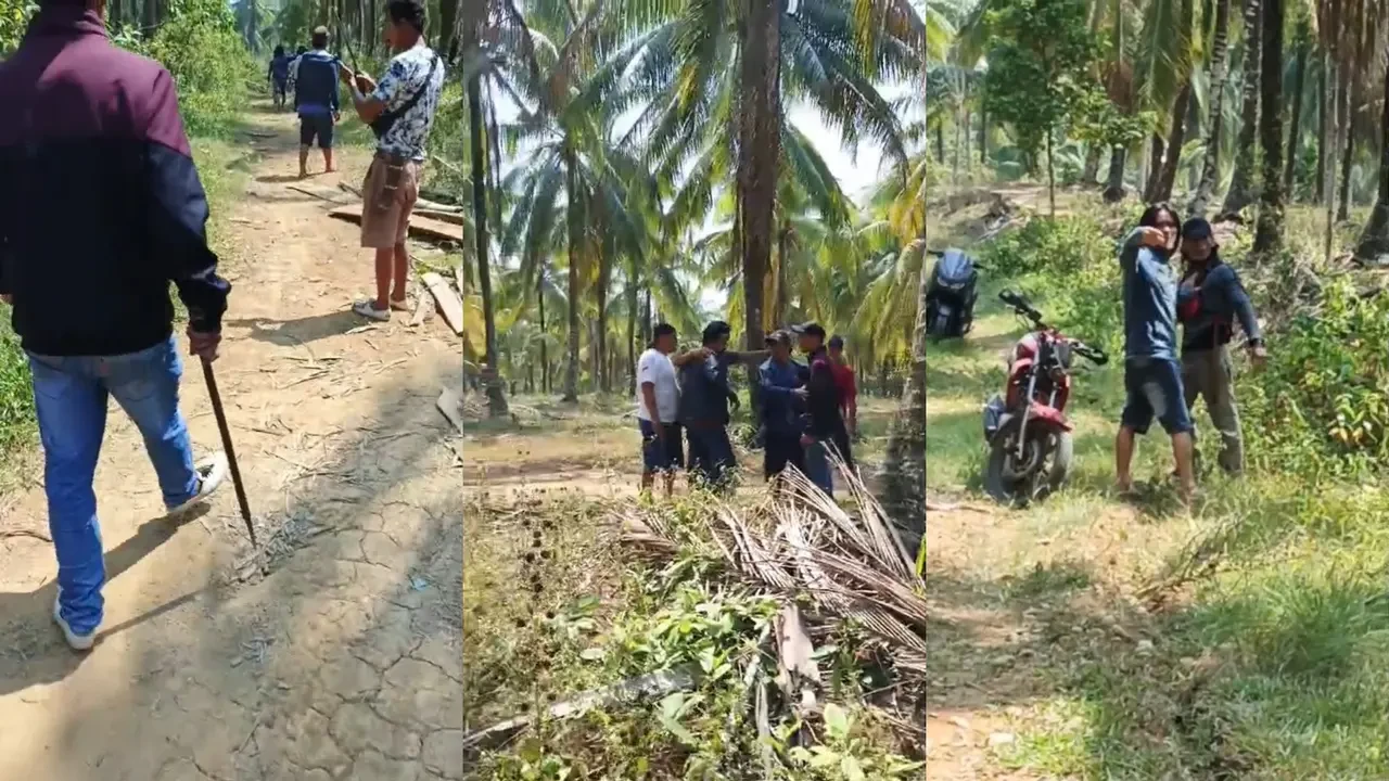 Konflik Lahan Sawit di Pesisir Barat, Begini Kronologinya