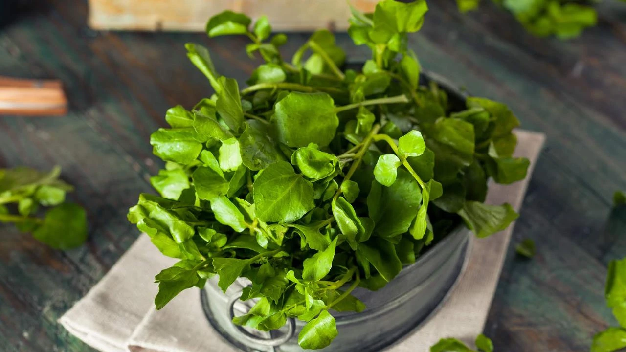 Resep Jukut Goreng Crispy Kriuk Renyah Tahan Lama dan Tidak Berminyak, Bikin Nagih