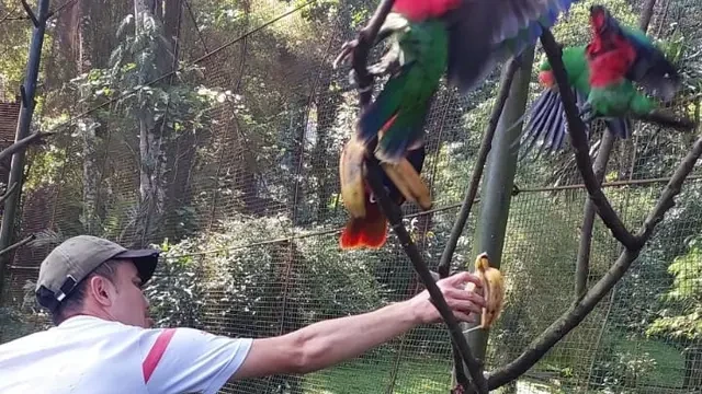 Viral Bayi Orang Utan di Bandung Zoo Disebut Telantar, Manajemen Bongkar Fakta Sebenarnya