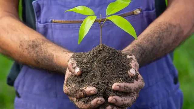 AstraPay Tanam 5.000 Pohon di Garut, Dukung Net Zero Emission 2060