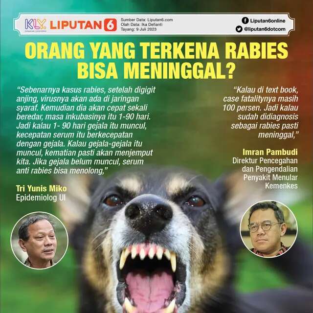 Bocah 12 Tahun di Kabupaten TTS NTT Tewas Digigit Anjing Rabies