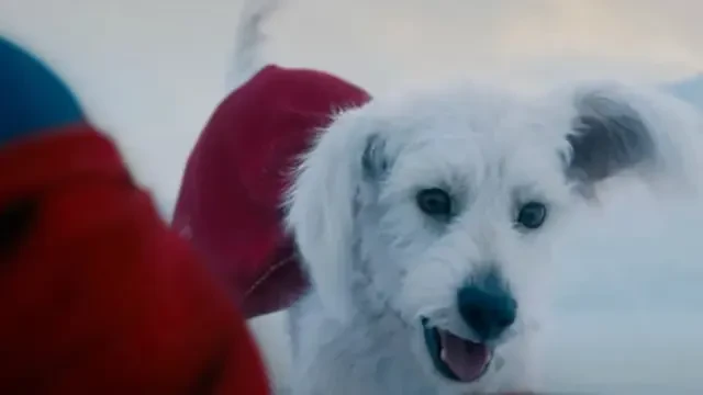 Mengenal Krypto: Anjing Super Hero Peliharaan Superman