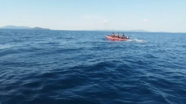 Beredar Kabar Dua Korban KM Barcelona V Terdampar di Pulau, Ini Nasib Mereka